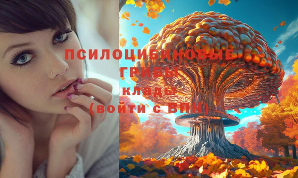 apvp Киреевск