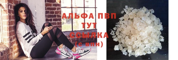 дмт Касимов