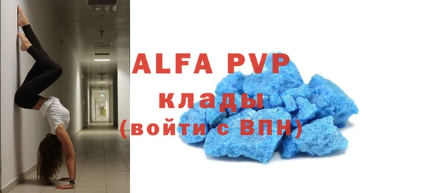 дмт Касимов