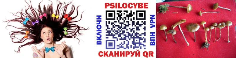 это наркотические препараты  Кашира  Псилоцибиновые грибы MAGIC MUSHROOMS 
