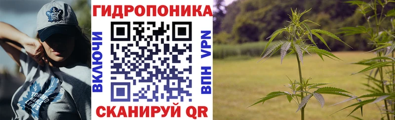Бошки марихуана марихуана  МЕГА как войти  Кашира  цена  